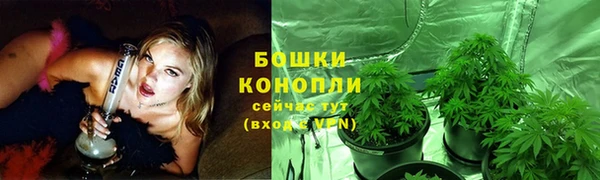 таблы Инсар