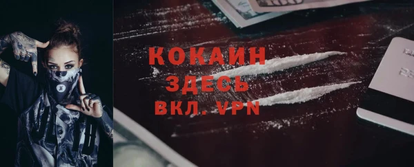 гидропоника Инта