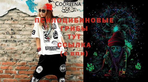 таблы Инсар