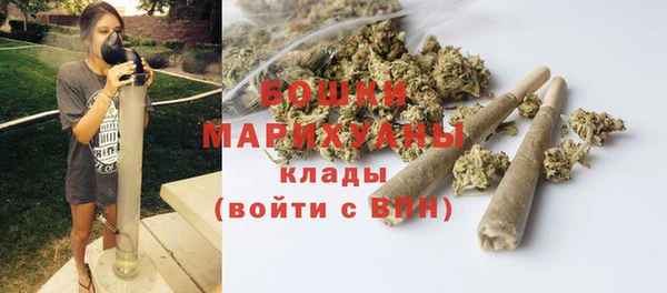 бутират Иннополис