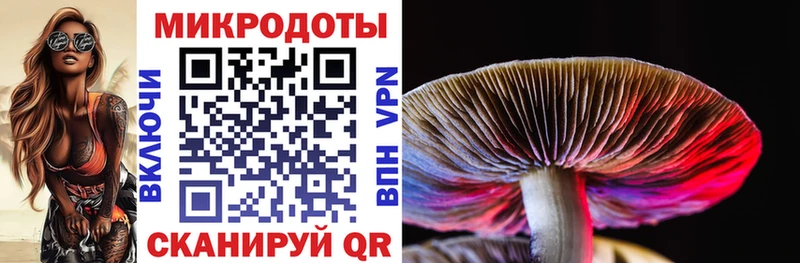 Купить Таруса Псилоцибиновые грибы Psilocybe